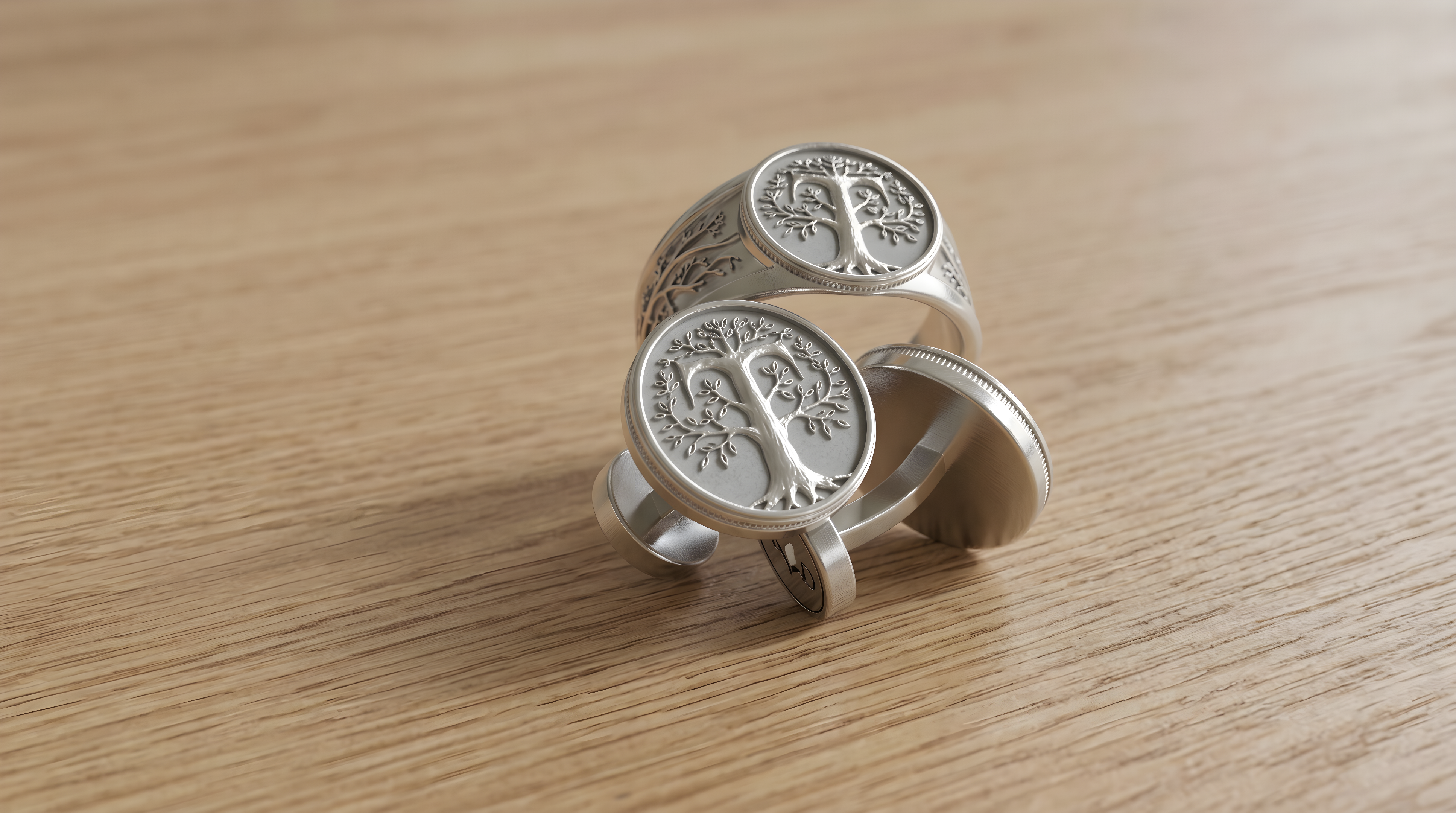 Gentleman Set mit Siegelring und Manschettenknöpfen Paladin Weißgold